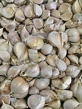 Bunch of Garlic