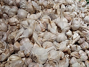 A bunch of garlic as a food ingredient