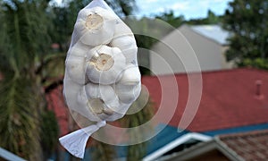 Bunch of garlic bulbs in bag hanging in air