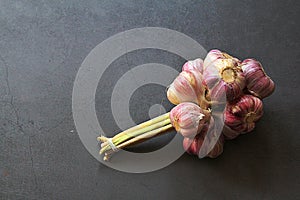 A bunch of garlic, a bunch of fresh garlic, a natural antibiotic, fresh seasoning