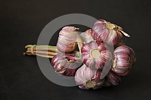 A bunch of garlic, a bunch of fresh garlic, a natural antibiotic, fresh seasoning