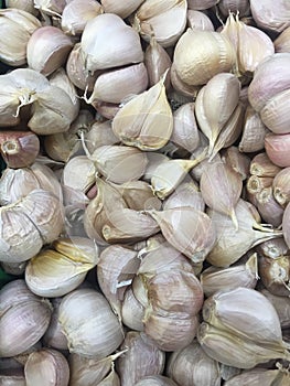 Bunch of garlic close up