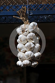 a bunch of garlic hanging in the street market
