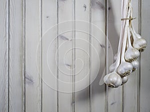 A bunch of garlic harvest hung drying against wainscoting or beadboard