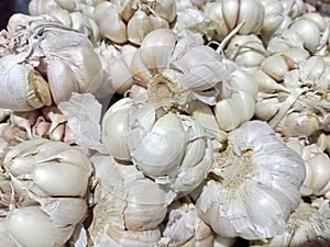 bunch of garlic has not been peeled