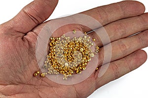 A bunch of gold pellets on a man's palm.