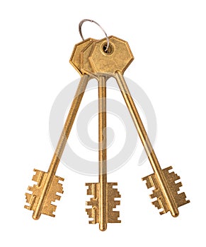 Bunch of golden keys on the white background