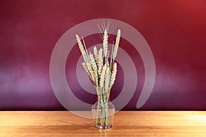 Bunch of golden wheats in small glass transparent vase on the table, burgundy purple background