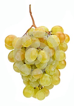 Bunch of grapes