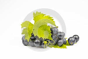 The bunch of grapes is dark blue with fresh leaves isolated on a white background