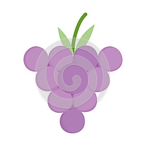 Bunch grapes fresh fruit cartoon style icon design