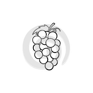 Bunch of grapes hand drawn sketch icon.