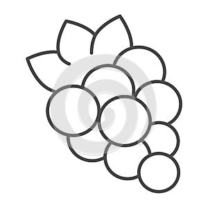 Bunch of grapes with leaves, slot machine thin line icon, gambling concept, fruit machine vector sign on white