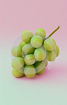 A bunch of grapes on a pink and green background