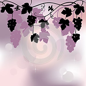 Bunch of grapes, plant background