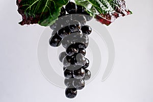 Bunch of grapes on plate on white background