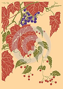 Grapes fruit vector graphic based on japan engraving photo