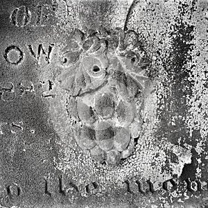 Bunch of grapes on a snadstone gravestone