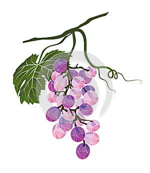 Bunch of grapes stylized polygonal