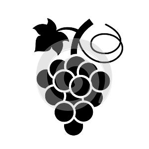 Bunch of grapes vector icon