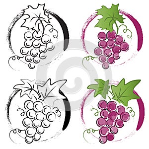 Bunch of grapes. Vector logo illustration on a white background.