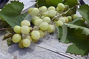 bunch of grapes on wood