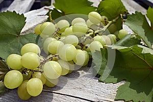 bunch of grapes on wood