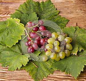 Bunch of grapes on a wooden table