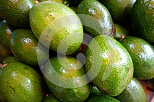 Bunch of green Avocados
