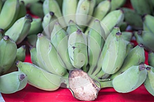 Bunch of green bananas