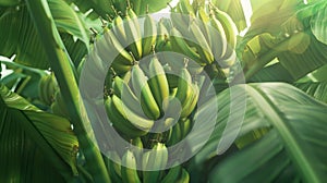 A Bunch of Green Bananas.AI generated image