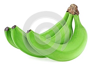 Bunch of green bananas isolated on white background. Tropical banana bunch