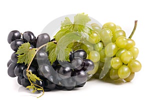 Bunch of green and blue grape with leaves isolated on white background