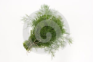 Bunch of green dill
