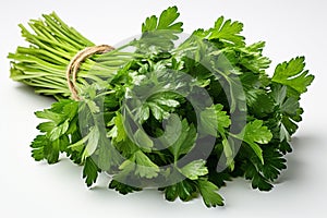 bunch of green fresh parsley close up