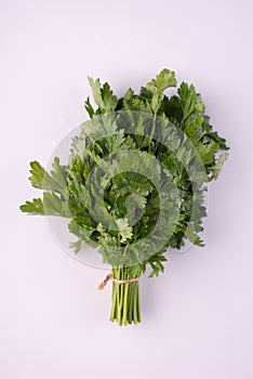 bunch of green fresh parsley stems on white background