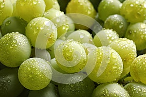 Bunch of green fresh ripe juicy grapes as background