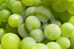 Bunch of green fresh ripe juicy grapes as background
