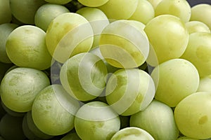 Bunch of green fresh ripe juicy grapes as background