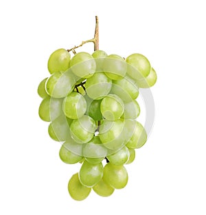 Bunch of green fresh ripe juicy grapes isolated