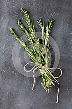 Bunch of green fresh rosemary on the dark black background. Herbs and spices for recipes