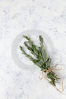 Bunch of green fresh rosemary on the light white background. Herbs and spices for recipes