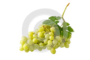 Bunch of green grape berries with leaves isolated on white