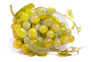 Bunch of green grapes with leaf isolated on white background