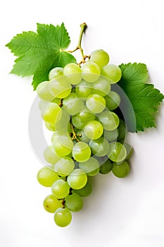 Bunch of green grapes with leaves isolated on white background. Top view.