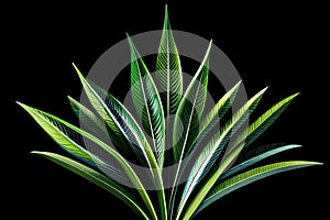 A Bunch Of Green Leaves On Top Of A Black Background With A Black Background Behind It And A Black Background Behin. Generative AI