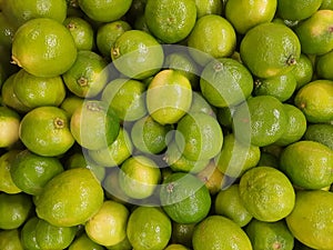 Bunch of green lemons.
