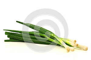 Bunch of green onions