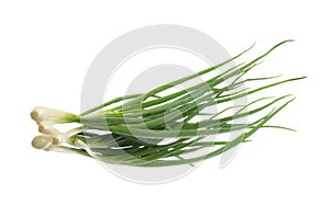 Bunch of green onions isolated without shadow clipping path