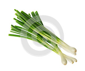 Bunch of green onions isolated without shadow clipping path